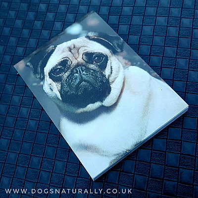 Pug Magnetic Note Pad Standard